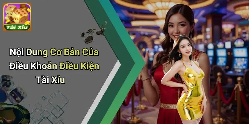 Điều khoản điều kiện 2 Điều Khoản Điều Kiện