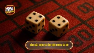 cách đặt cược và tính tiền trong tài xỉu