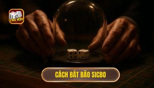 cách bắt bão sicbo