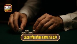 cách vận hành game tài xỉu
