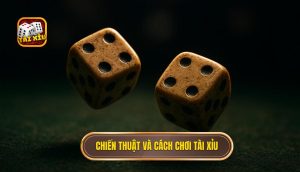 chiến thuật và cách chơi tài xỉu
