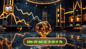Có nên theo cầu tài xỉu hay không? Phân tích chuyên sâu từ cao thủ
